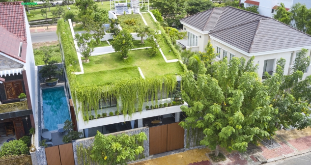 Đưa quả đồi xanh mướt trên mái nhà 